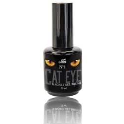 Cat Eye Gel Brush No1 15ML 2