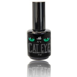 Cat Eye Gel Brush No4 15ML 2