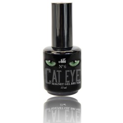 Cat Eye Gel Brush No6 15ML 2
